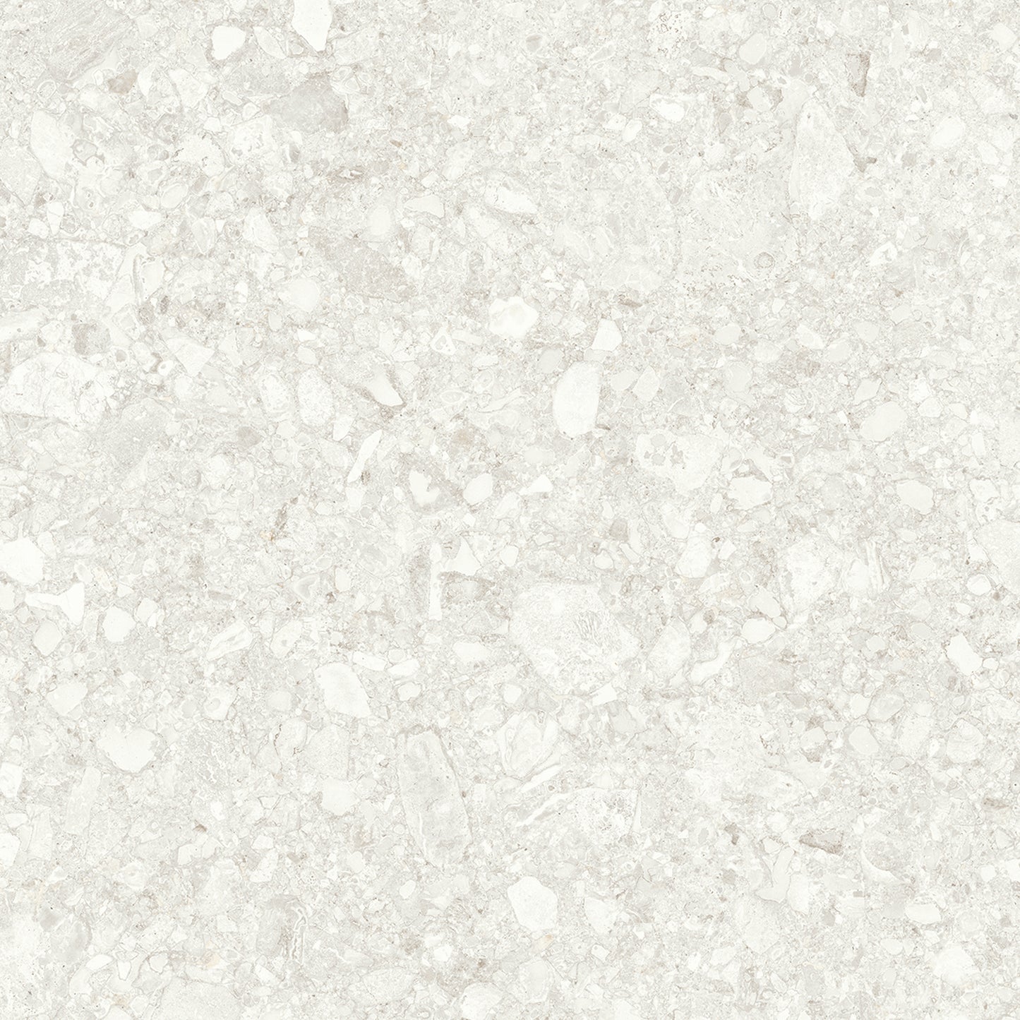 Bianco 600x600 Polished