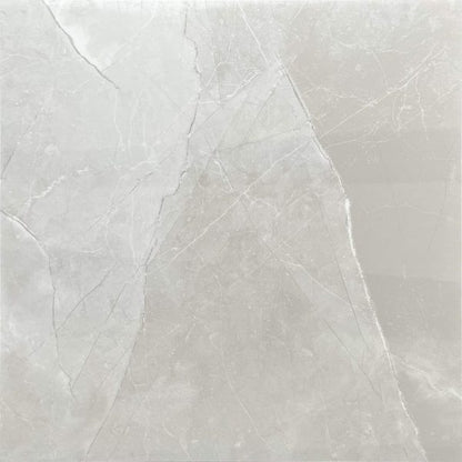 Dolce Light Grey 600x600 Polished