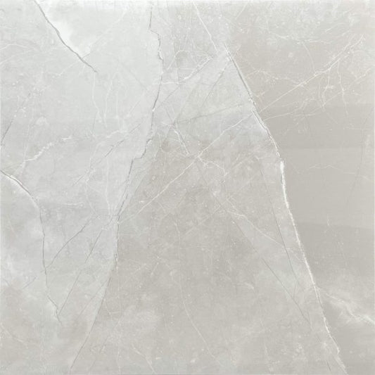 Dolce Light Grey 600x600 Polished